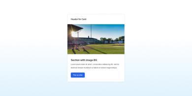 an Image of a card component